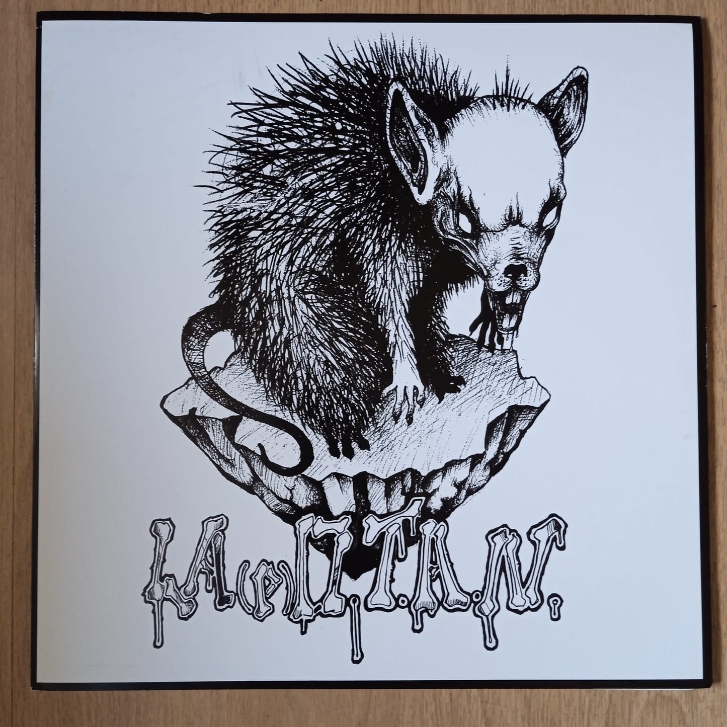 La (p)O.T.A.N. - La (p)O.T.A.N. LP