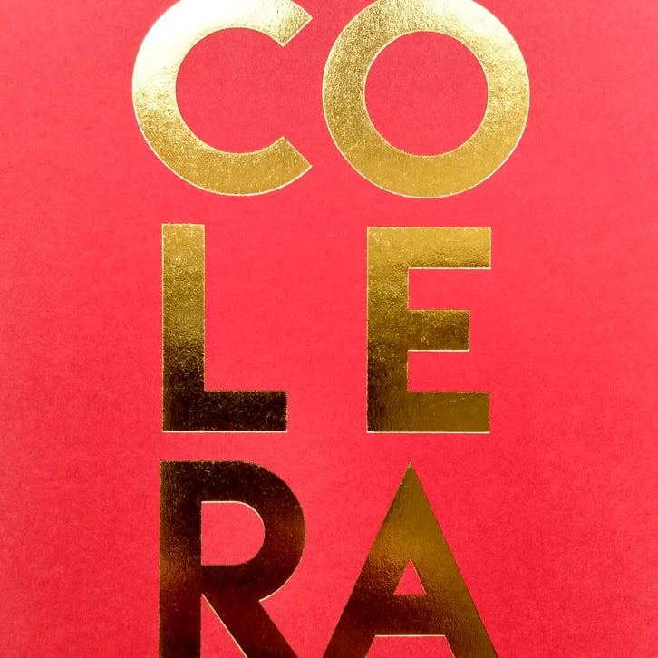 Libro Cólera de Julio Vargas