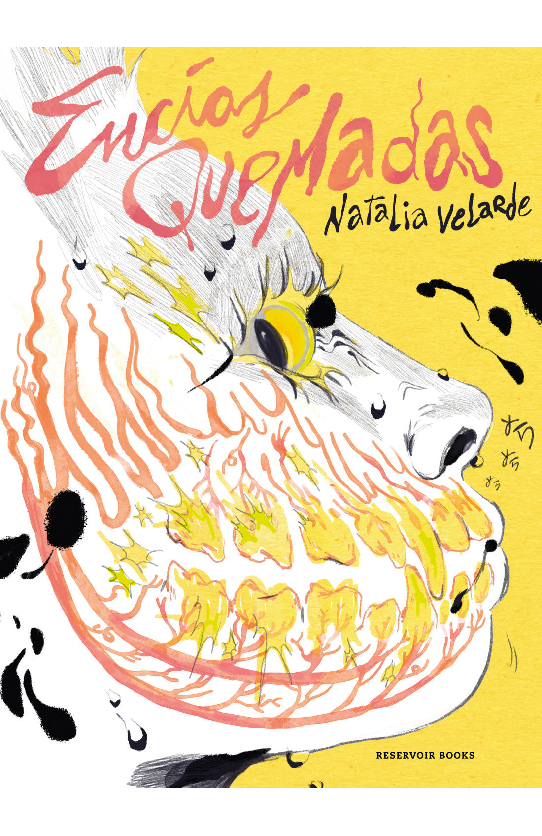 Encías Quemadas - Natalia Velarde